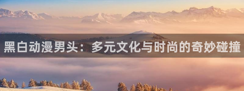 动漫天堂手机在线观看：黑白动漫男头：多元文化与时尚的奇妙碰撞配图