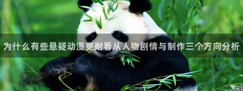 动漫天堂近期更新：为什么有些悬疑动漫更耐看从人物剧情与制作三个方向分析配图