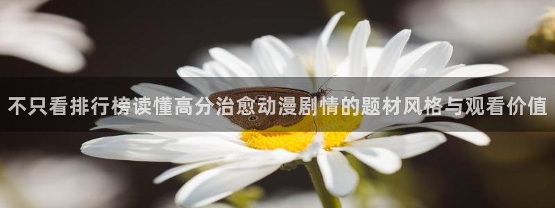 动漫天堂连载排行：不只看排行榜读懂高分治愈动漫剧情的题材风格与观看价值配图