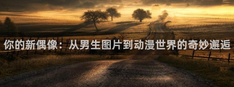 动漫天堂高分动漫推荐：你的新偶像：从男生图片到动漫世界的奇妙邂逅配图