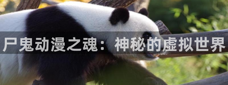 动漫天堂剧情动漫：尸鬼动漫之魂：神秘的虚拟世界配图