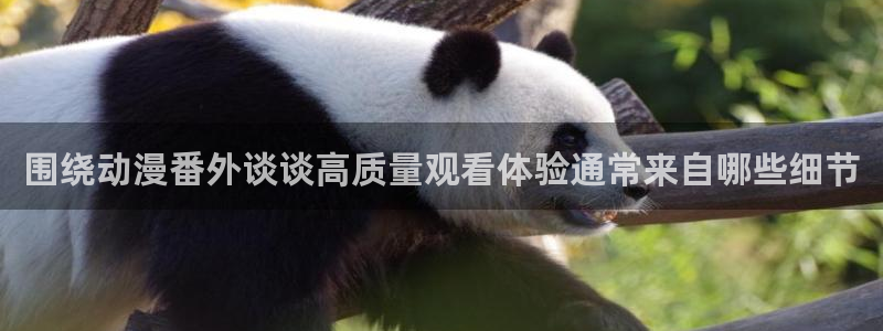动漫天堂国漫在线观看:围绕动漫番外谈谈高质量观看体验通常来自哪些细节配图