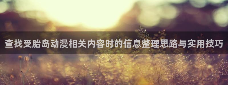 动漫天堂高分排行:查找受胎岛动漫相关内容时的信息整理思路与实用技巧配图