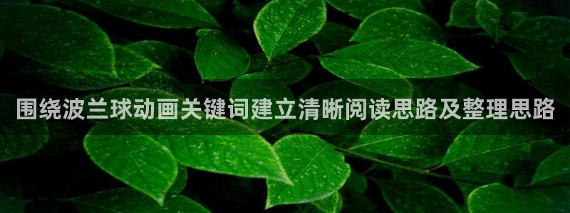 动漫天堂动作动漫推荐:围绕波兰球动画关键词建立清晰阅读思路及整理思路配图