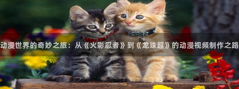 动漫天堂动漫作品:动漫世界的奇妙之旅:从《火影忍者》到《龙珠超》的动漫视频制作之路配图