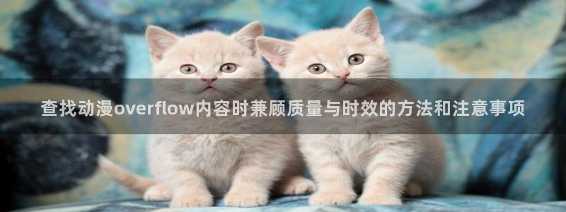 动漫天堂人气推荐:查找动漫overflow内容时兼顾质量与时效的方法和注意事项配图
