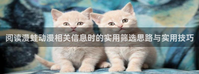 动漫天堂手机站:阅读漫蛙动漫相关信息时的实用筛选思路与实用技巧配图