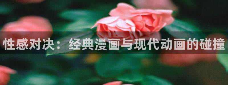 动漫天堂连载更新:性感对决:经典漫画与现代动画的碰撞配图