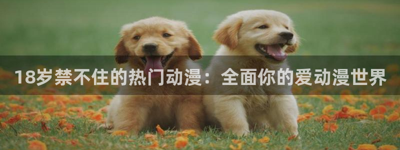 动漫天堂免费：18岁禁不住的热门动漫：全面你的爱动漫世界配图